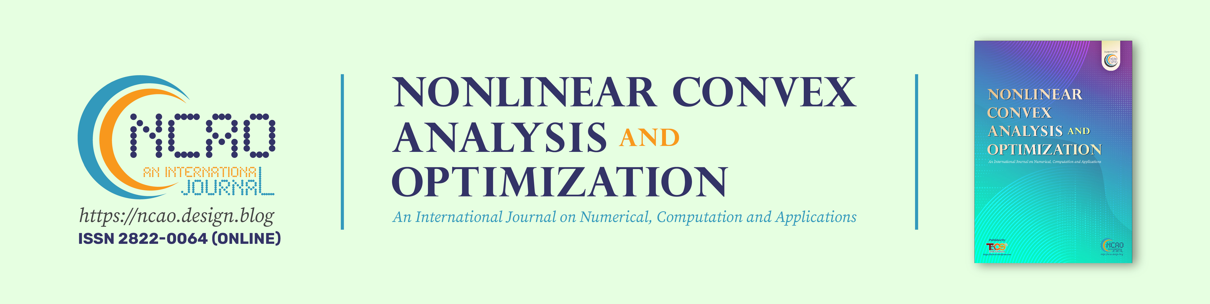 Nonlinear Convex Analysis and Optimization: